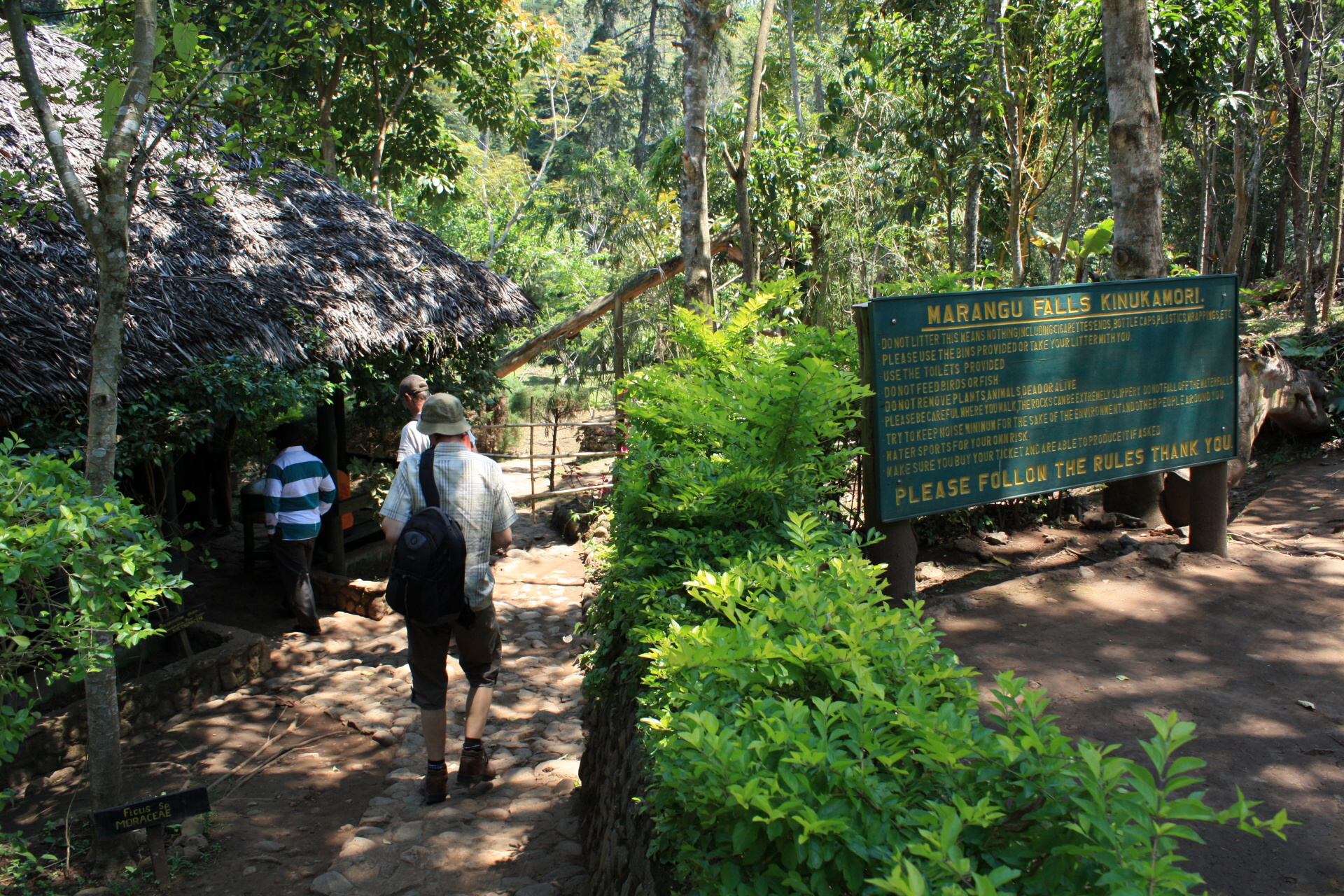 2010-09-07 Marangu Falls